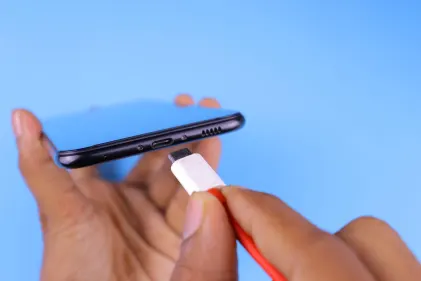 Casino Dogs Fortune Aplicación móvil